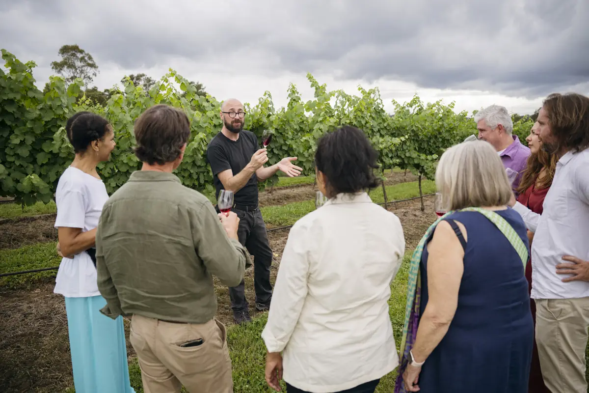 Group on a guided wine estate visit
